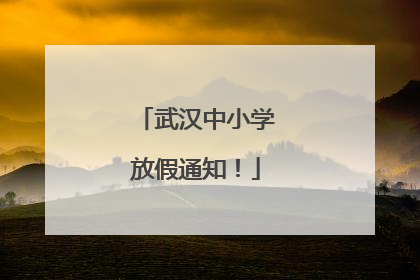 武汉中小学放假通知！