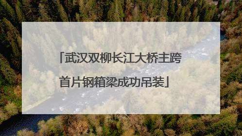 武汉双柳长江大桥主跨首片钢箱梁成功吊装