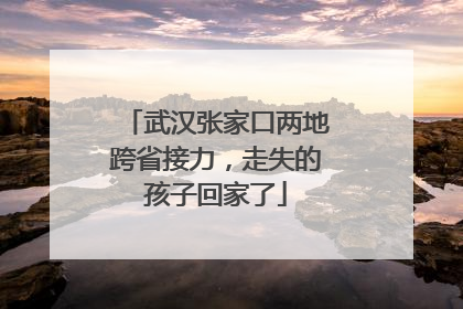 武汉张家口两地跨省接力，走失的孩子回家了
