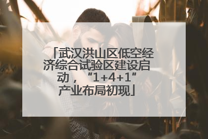 武汉洪山区低空经济综合试验区建设启动，“1+4+1”产业布局初现