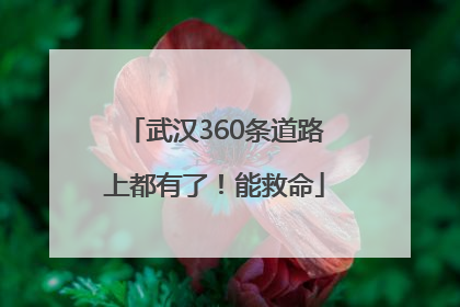 武汉360条道路上都有了！能救命