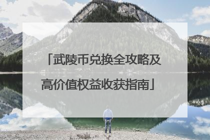 武陵币兑换全攻略及高价值权益收获指南