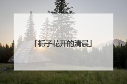 栀子花开的清晨