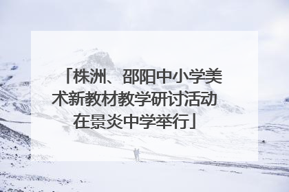 株洲、邵阳中小学美术新教材教学研讨活动在景炎中学举行