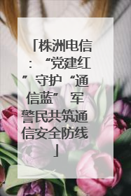 株洲电信：“党建红”守护“通信蓝” 军警民共筑通信安全防线