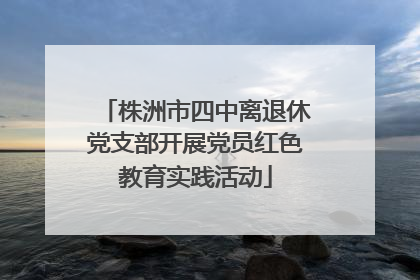 株洲市四中离退休党支部开展党员红色教育实践活动