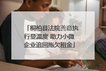 桐柏县法院善意执行显温度 助力小微企业追回拖欠租金