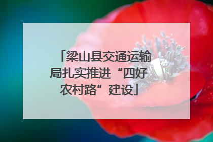 梁山县交通运输局扎实推进“四好农村路”建设