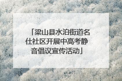 梁山县水泊街道名仕社区开展中高考静音倡议宣传活动