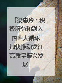 梁惠玲：积极服务和融入国内大循环 加快推动龙江高质量振兴发展