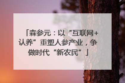 森参元：以“互联网+认养”重塑人参产业，争做时代“新农民”