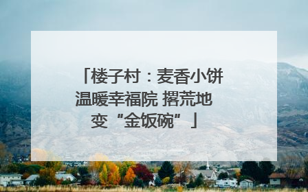 楼子村：麦香小饼温暖幸福院 撂荒地变“金饭碗”