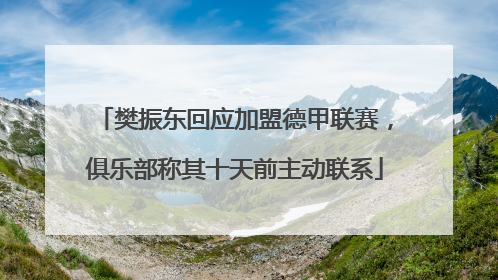 樊振东回应加盟德甲联赛，俱乐部称其十天前主动联系