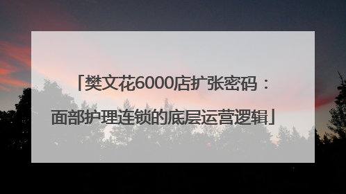 樊文花6000店扩张密码：面部护理连锁的底层运营逻辑