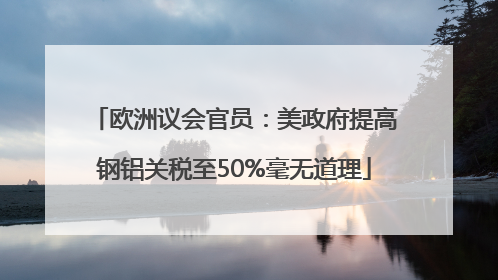 欧洲议会官员：美政府提高钢铝关税至50%毫无道理