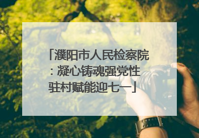 濮阳市人民检察院：凝心铸魂强党性 驻村赋能迎七一