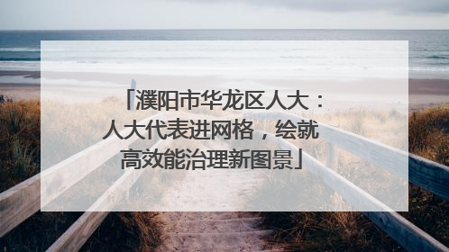 濮阳市华龙区人大：人大代表进网格，绘就高效能治理新图景