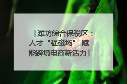 潍坊综合保税区：人才“强磁场” 赋能跨境电商新活力