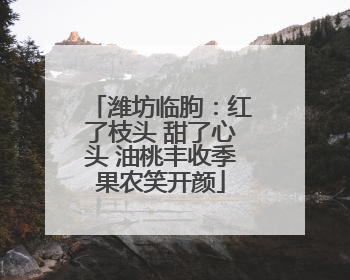 潍坊临朐：红了枝头 甜了心头 油桃丰收季果农笑开颜
