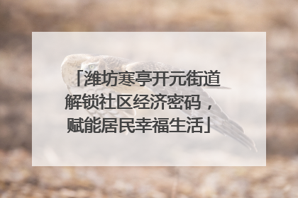 潍坊寒亭开元街道解锁社区经济密码，赋能居民幸福生活