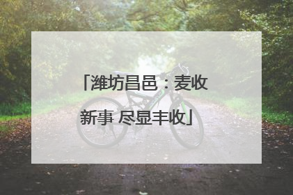 潍坊昌邑：麦收新事 尽显丰收