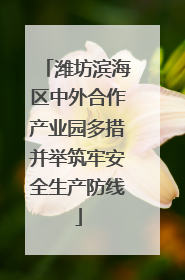 潍坊滨海区中外合作产业园多措并举筑牢安全生产防线