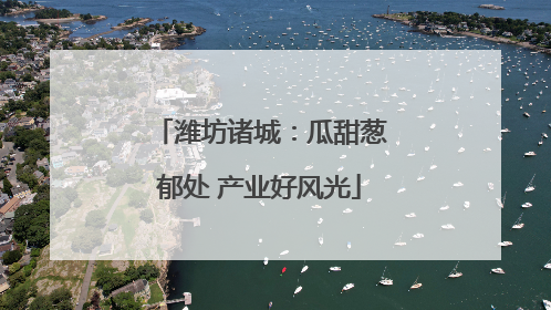 潍坊诸城：瓜甜葱郁处 产业好风光