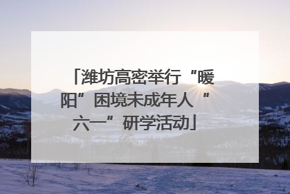潍坊高密举行“暖阳”困境未成年人“六一”研学活动