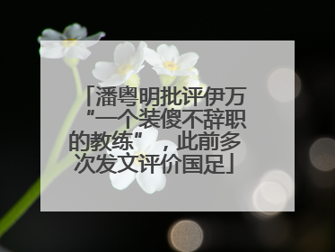 潘粤明批评伊万“一个装傻不辞职的教练”，此前多次发文评价国足