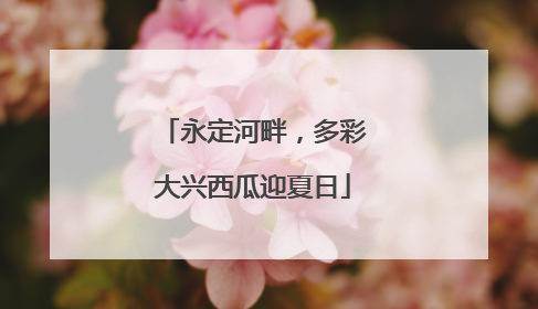 永定河畔，多彩大兴西瓜迎夏日