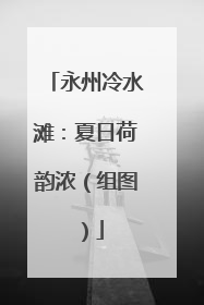 永州冷水滩：夏日荷韵浓（组图）
