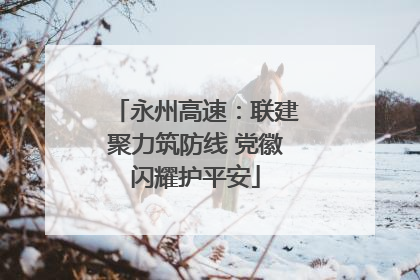 永州高速：联建聚力筑防线 党徽闪耀护平安