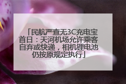 民航严查无3C充电宝首日：天河机场允许乘客自弃或快递，相机锂电池仍按原规定执行