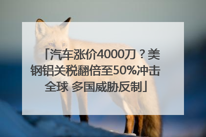汽车涨价4000刀？美钢铝关税翻倍至50%冲击全球 多国威胁反制