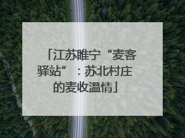 江苏睢宁“麦客驿站”：苏北村庄的麦收温情