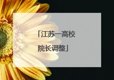 江苏一高校院长调整