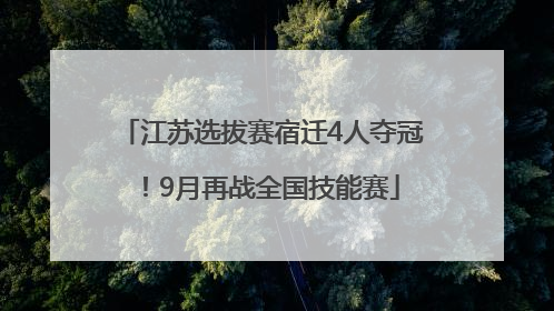 江苏选拔赛宿迁4人夺冠！9月再战全国技能赛