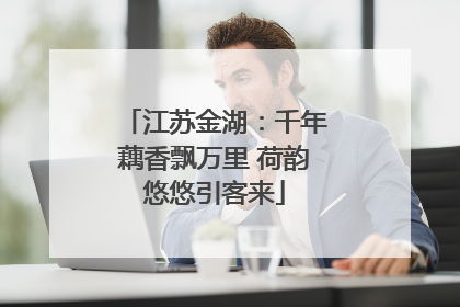 江苏金湖：千年藕香飘万里 荷韵悠悠引客来