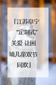 江苏阜宁“定制式”关爱 让困境儿童双节同欢