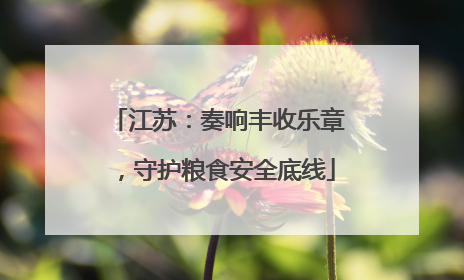 江苏：奏响丰收乐章，守护粮食安全底线