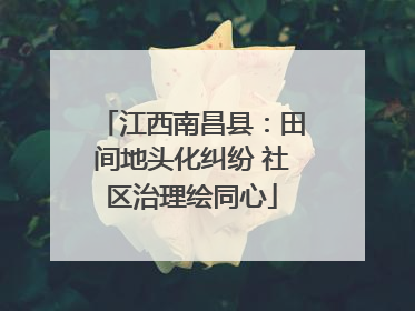 江西南昌县：田间地头化纠纷 社区治理绘同心