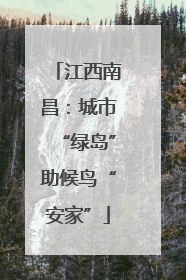 江西南昌：城市“绿岛”助候鸟“安家”