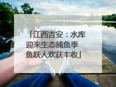 江西吉安：水库迎来生态捕鱼季 鱼跃人欢获丰收