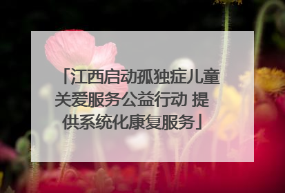 江西启动孤独症儿童关爱服务公益行动 提供系统化康复服务