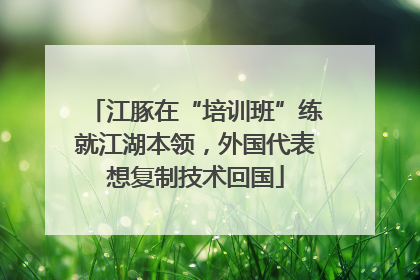 江豚在“培训班”练就江湖本领，外国代表想复制技术回国