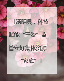 汤阴县：科技赋能“三资”监管守好集体资源“家底”