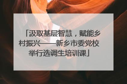 汲取基层智慧，赋能乡村振兴——新乡市委党校举行选调生培训课