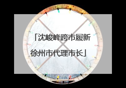 沈峻峰跨市履新徐州市代理市长