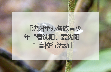 沈阳举办各族青少年“看沈阳、爱沈阳”高校行活动
