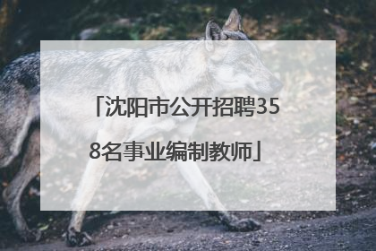 沈阳市公开招聘358名事业编制教师